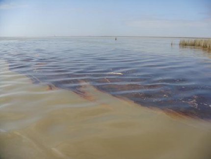 Oil Spill (Opinion)